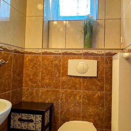 Dana Homestay szállás *